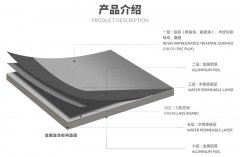 <b>不仅能够起到很好的装饰效果</b>