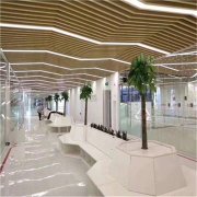 /xinwendongtai/20260210/109.html