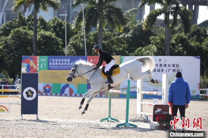 2022年第五届广东省马术联